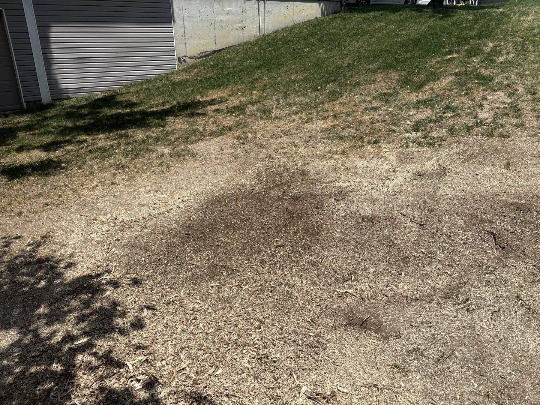 After stump grinding and cleanup in Platte City Missouri