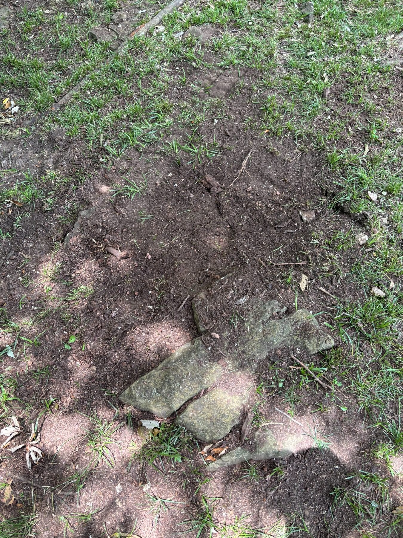 Stump in rocky area after removal in Platte City Missouri